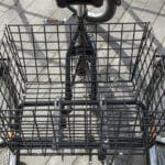 Adult Tricycle