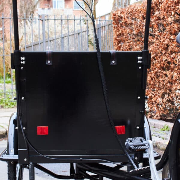 Holzpaneel für die Box bei elektrischen Lastenfahrrädern - Rückseite