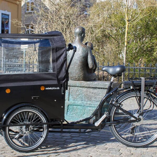 Canopy Electric Cargo Bike