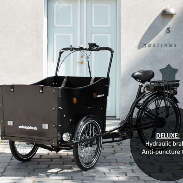 Electric Cargo Bike - Deluxe