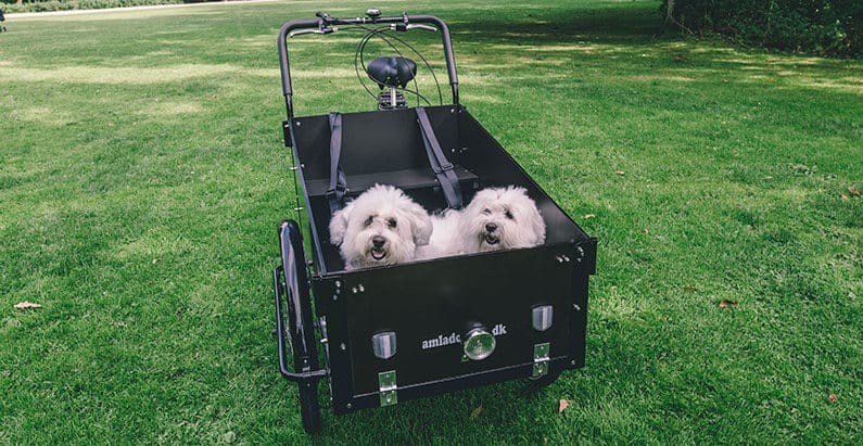 Cargo bike for dogs - Amcargobikes
