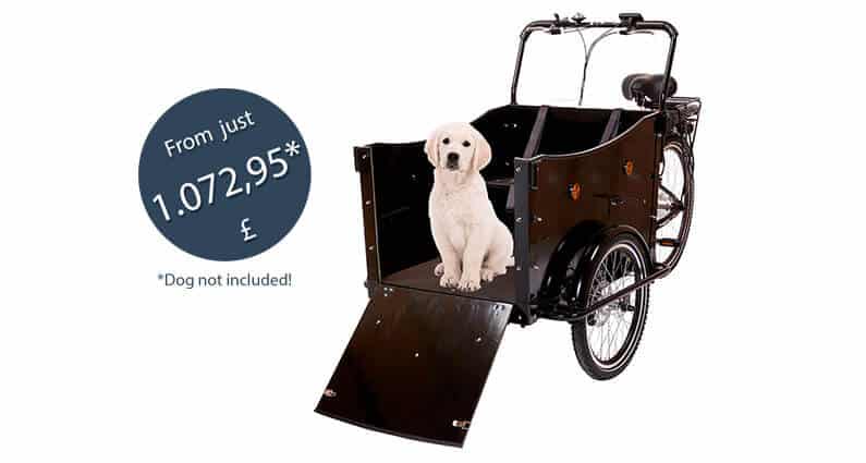 puppy-cargo-bike-dog-amcargobike